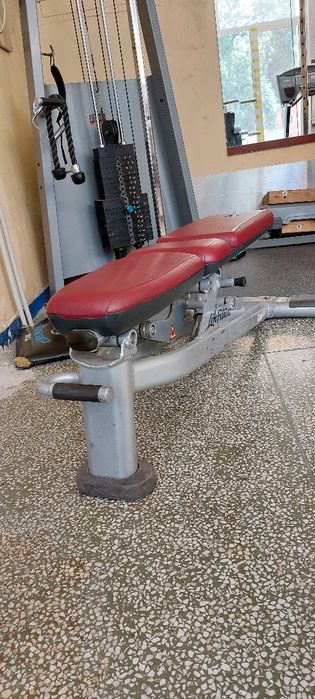 Професионална подвижна пейка Precor icarian,скрипец