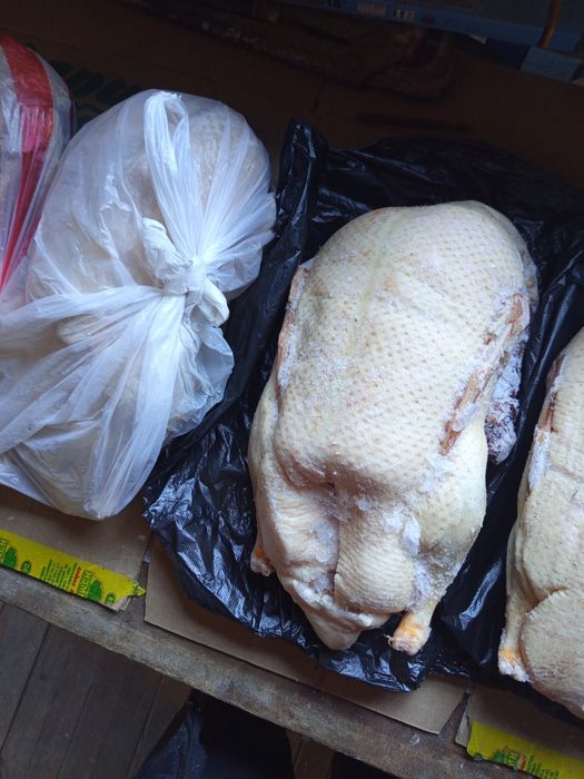 Мясо гуся тушками