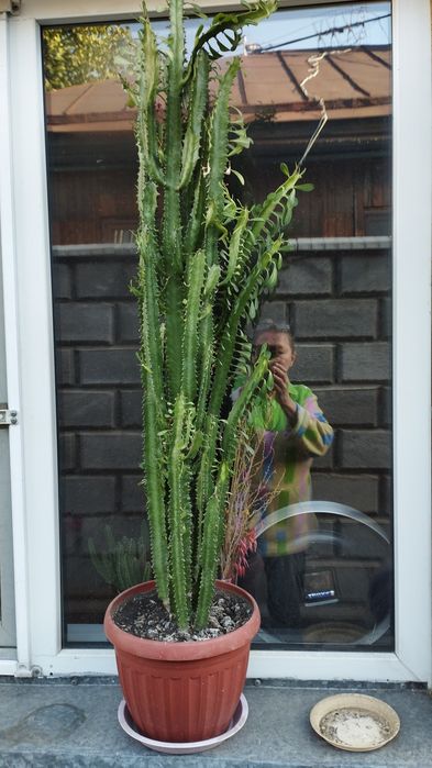 Стол-книжку продам