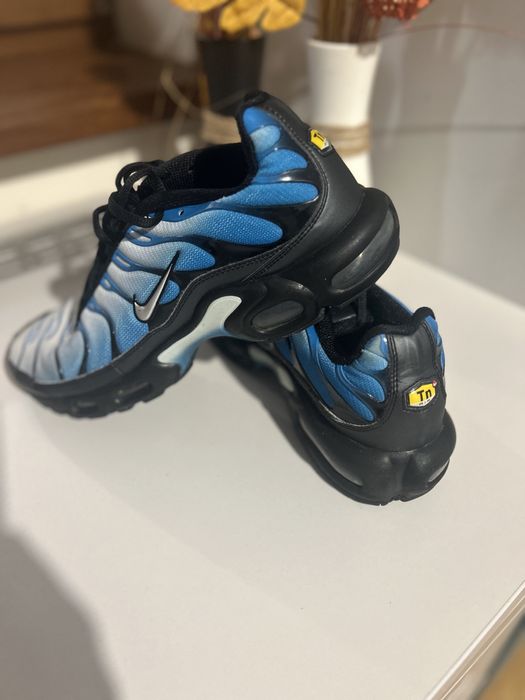 Pantofi NIKE Air Max Plus TN Neptune BLUE FQ0204-010