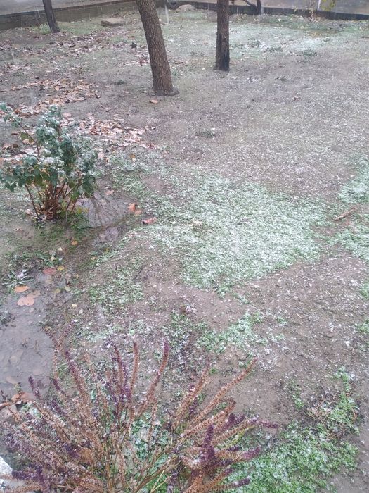 ТЕЗЛИК БИЛАН Ховли сотилади ИПОТЕКУ хазора махалла