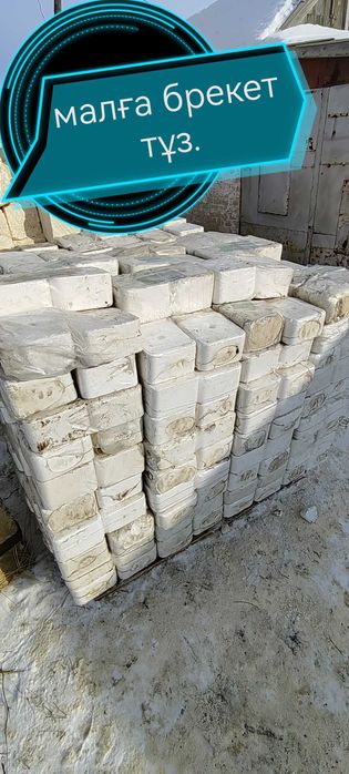 КамКамок тұз бар малға