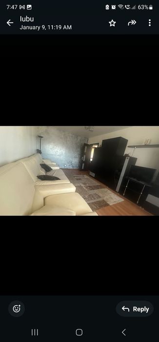 Apartament central, Ana Ipatescu vis-a- vis  Piata Centrala