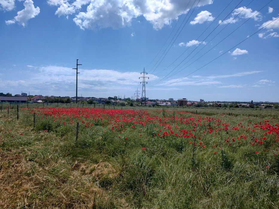 Teren extravilan 1000 mp Agigea (periferie Eforie Nord)
