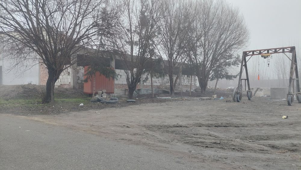 Noturar joy binosi bor