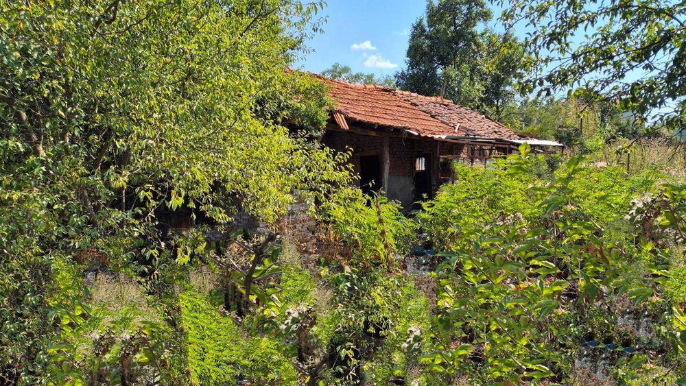 Парцел в село Витановци, Област Перник