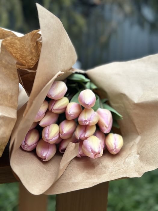 Тюльпаны 5 видов