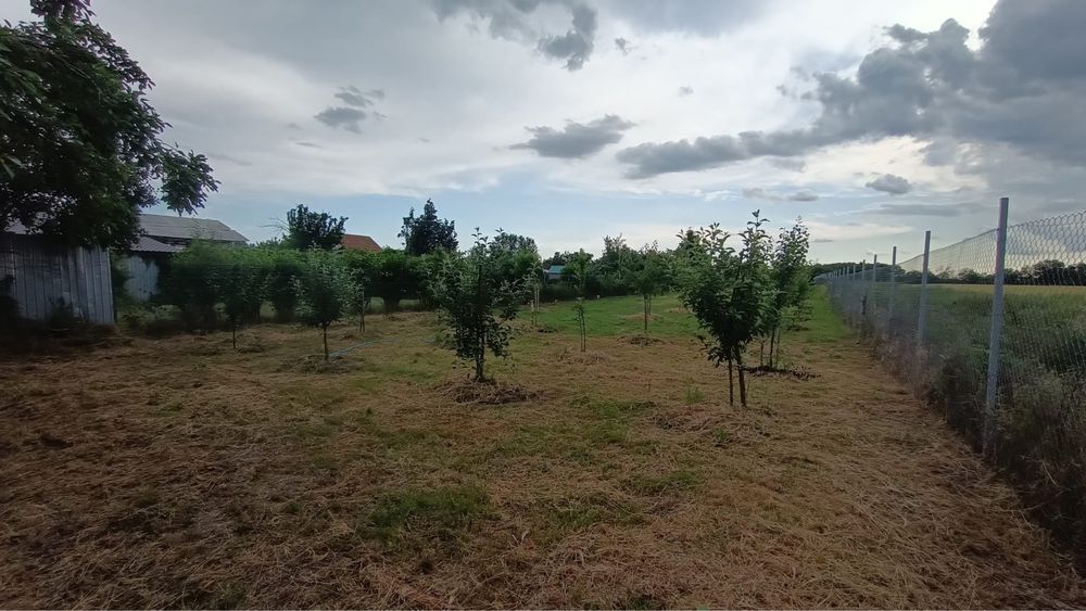 Teren intravilan 2.200 mp în Poenari (Ulmi, Giurgiu) – împrejmuit, cu puț, livadă și solar