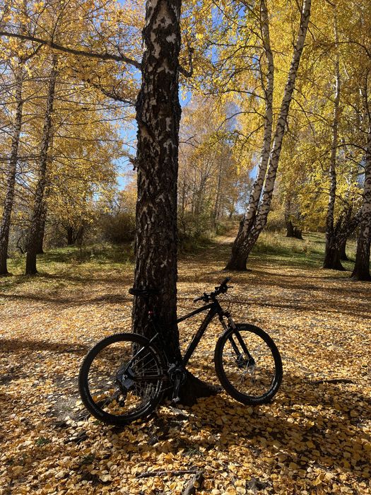 Прокат велосипедов