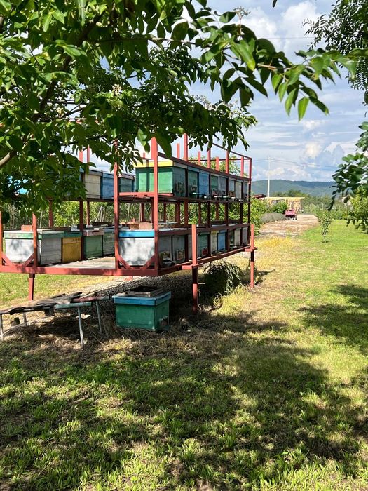 Vand Modular Apicol