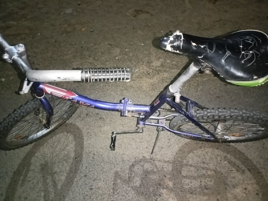 Вилоепед Кама аист