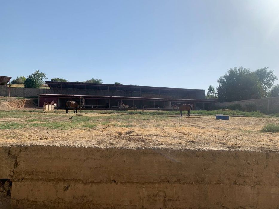 СРОЧНО!!! Продаётся ранчо с домом, участок 40 соток