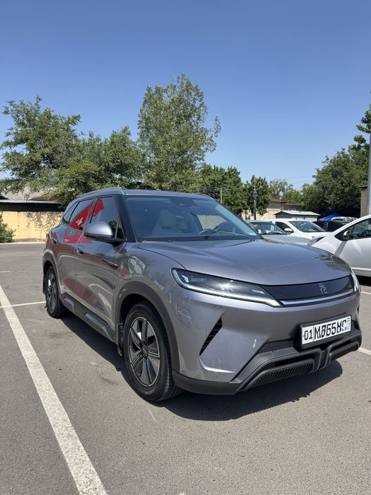 BYD yuan up 2024