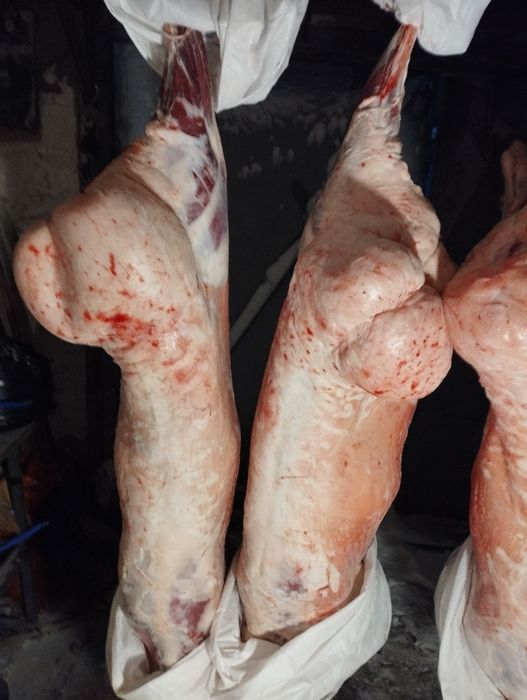 Продам тушки баранина