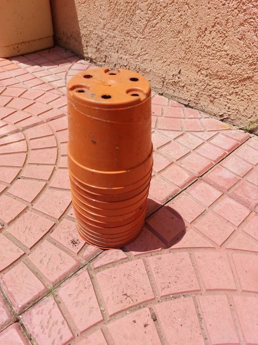 саксии за щветя и растения