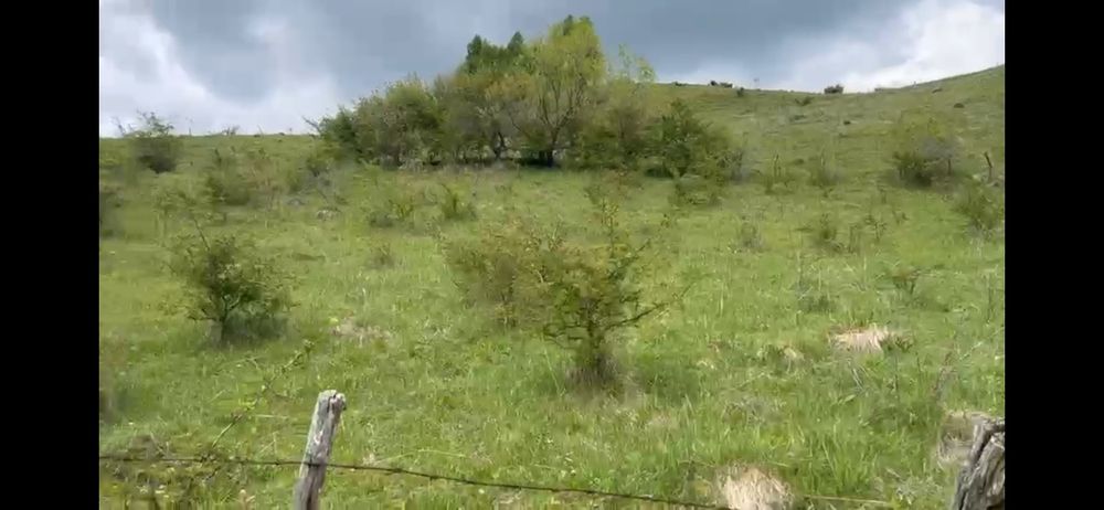 Teren la Transapuseana si unul in Mogoș Poieni