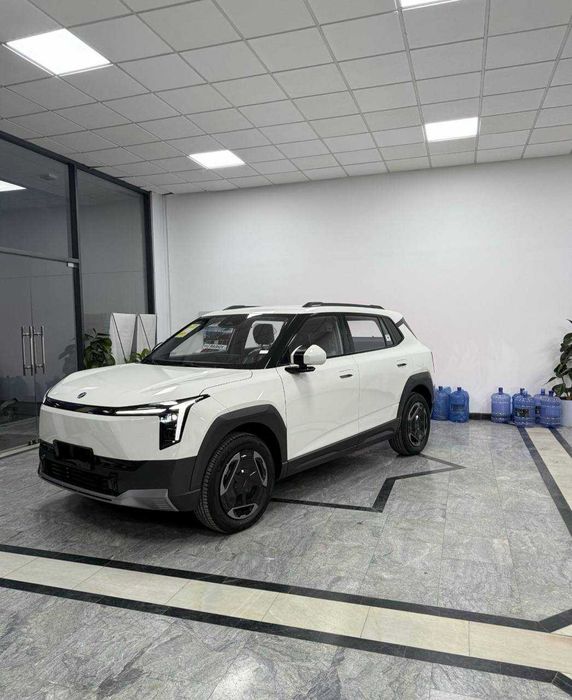 dongfeng nammi 06