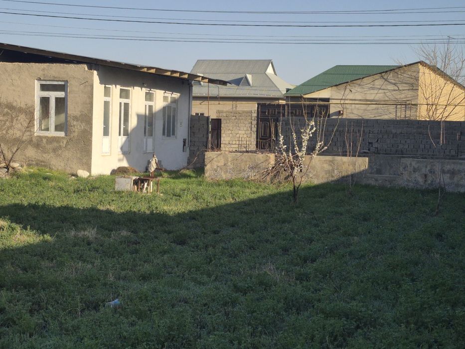 Шахрисабизда участка ижарага берилади газ свет сув   бор