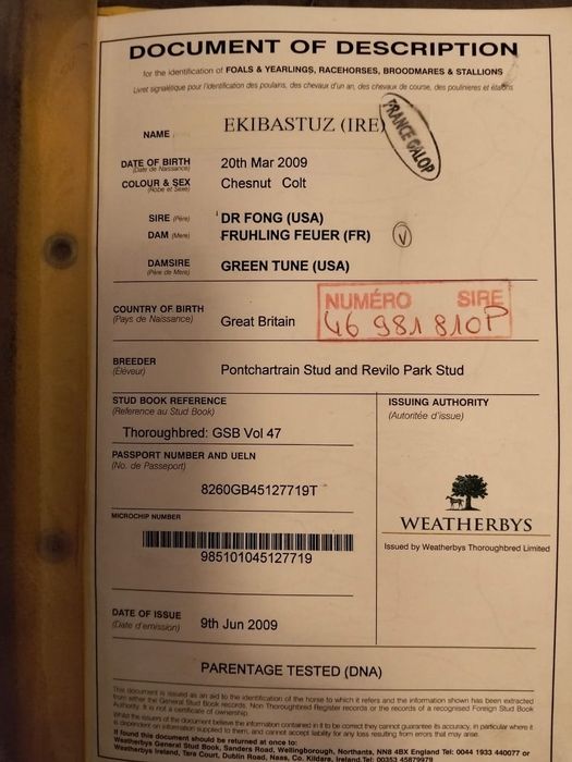 Таза қаңды байтал сатамын