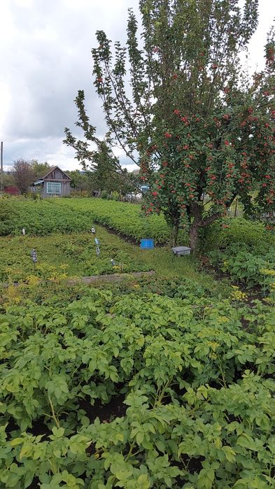 Продам дачный участок