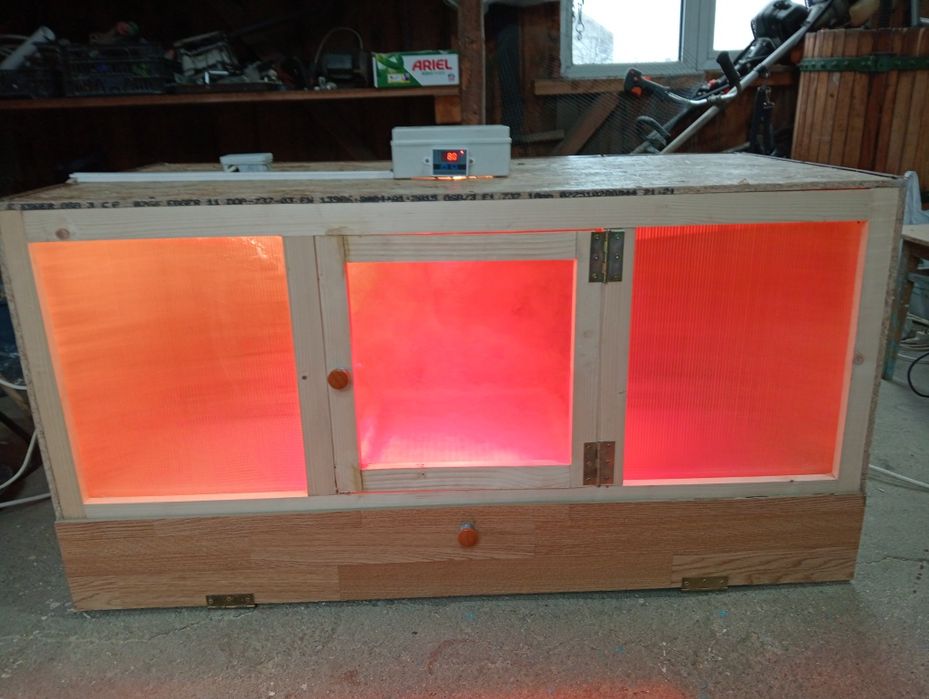 Maternitate pui de o zi