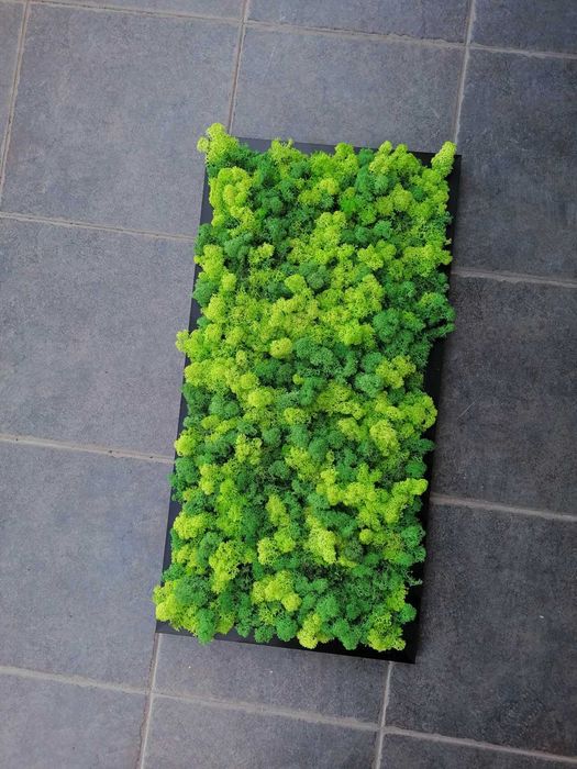 Пано от скандинавски мъх , Пана и картини по поръчка , декорация зелен скандинавски мъх с рамка или без