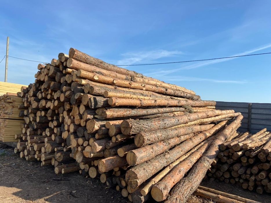 Реализуем лесоматериал Пиломатериал