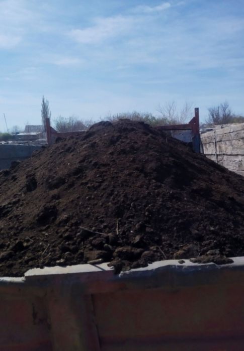 Навоз перегной Актогайский