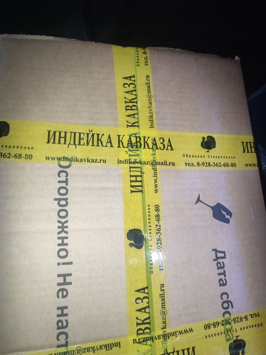 Яйцо Индейки продолжается