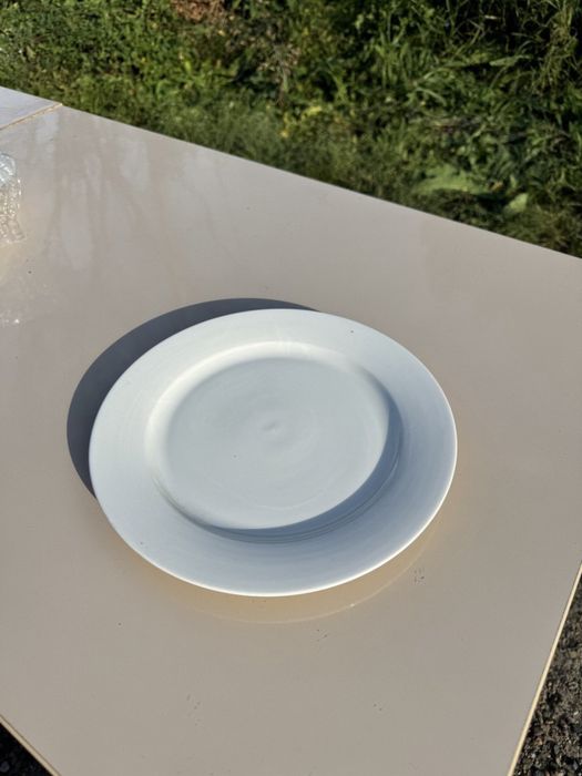 Тарелки обеденные, для вторых блюд