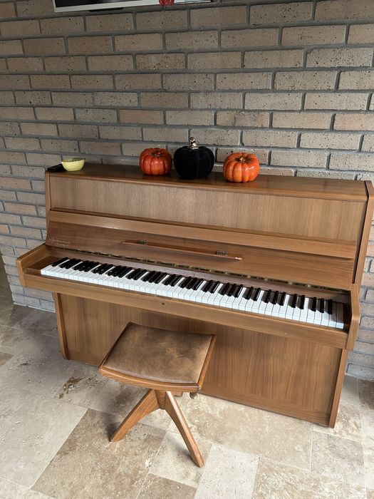 Vand Pian Nordiska Futura 1