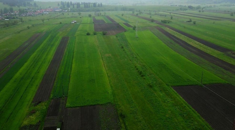 Terenuri extravilane