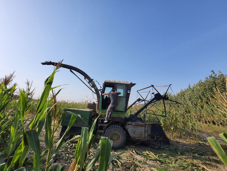 Maral silos kanbayn sotiladi