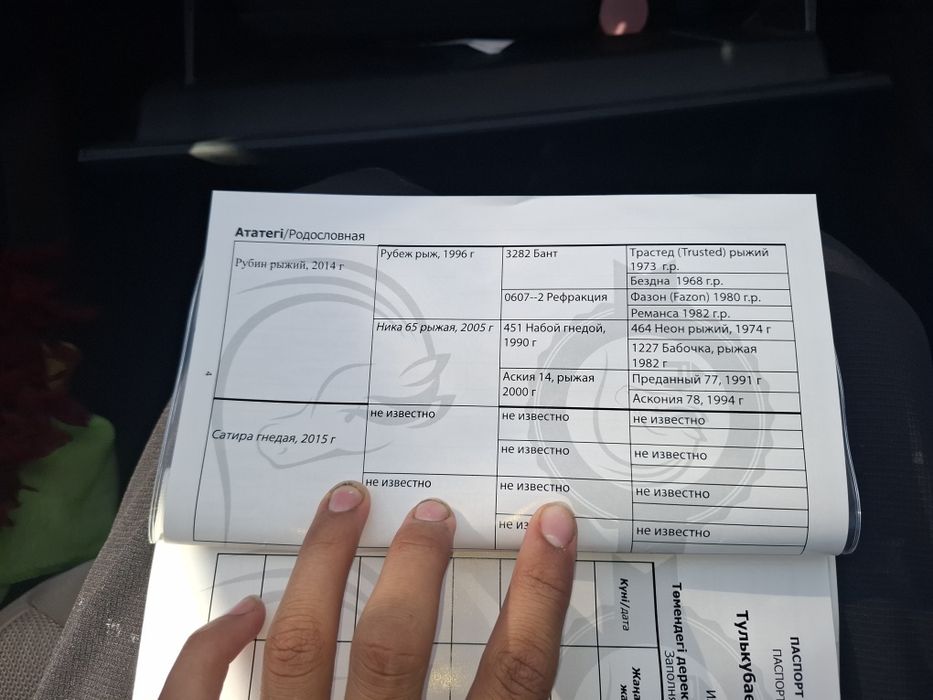 Қостанай тұқымды байтал