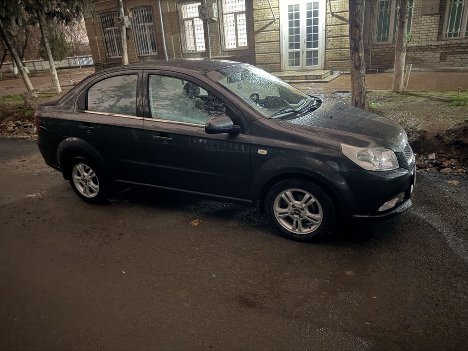 Некция 3 год выпуска 2019