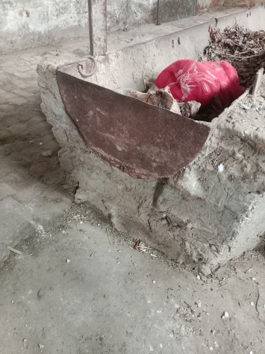 Ohur mol hona uchun  50 метир бор сотаман