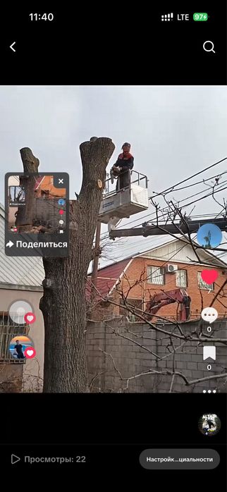 Спил деревье Ағаш кесу