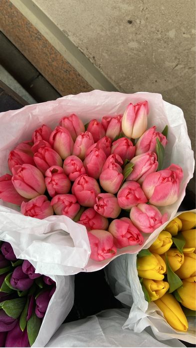 Тюльпаны оптом Алматы. Цена от 450 тг