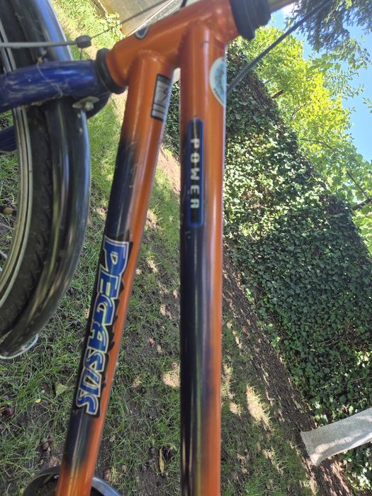 Vand bicicleta Pegasus