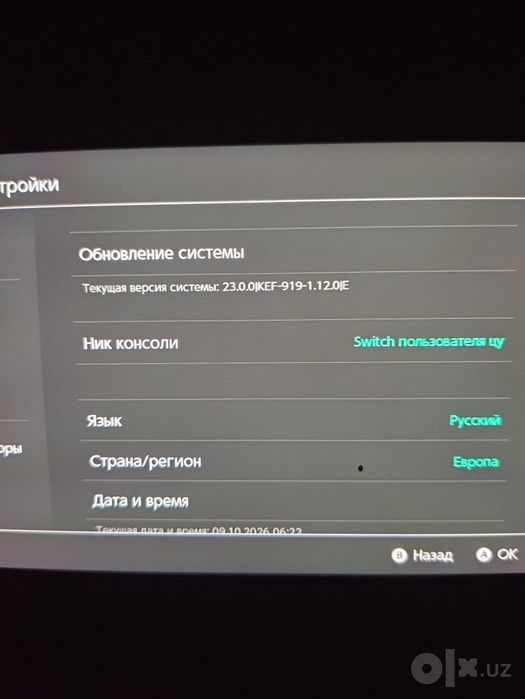 Nintendo Switch Lite