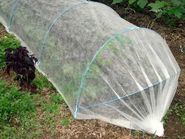 Set 50 tije Fibra Sticla 2.5m, 6mm