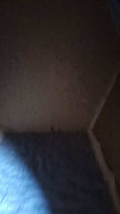 Продаю домик для кошки