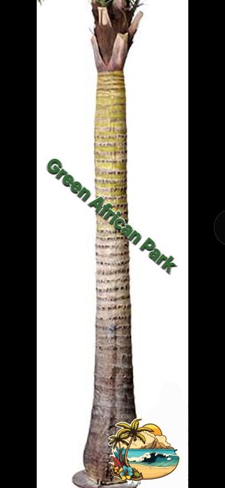 Palma daraht tanasi стол искусственный пальмовые деревья