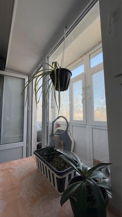 Продается 1 комнатная квартира