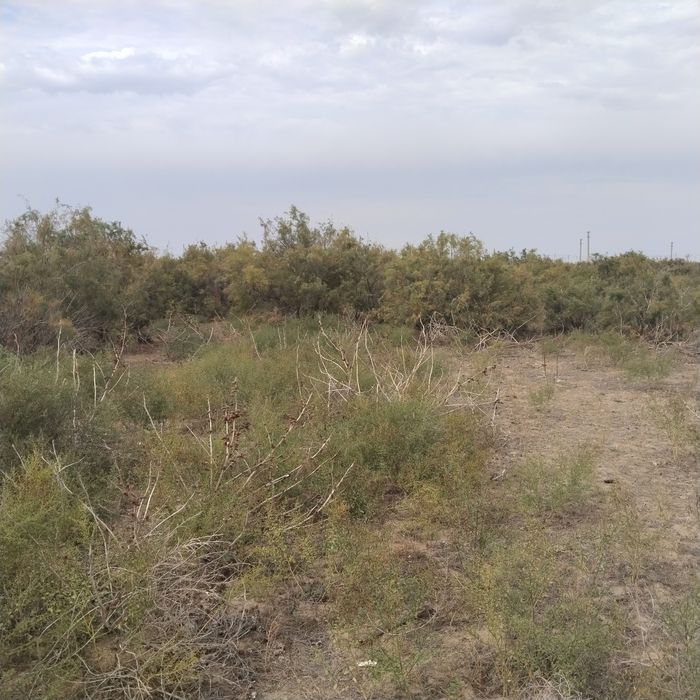 Земельный участок