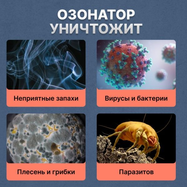 Озонирование помещений и автомобилей