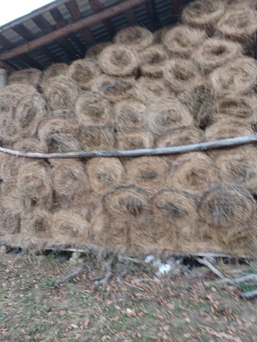 Vand baloti rotunzi 70. X. 60 fan bun