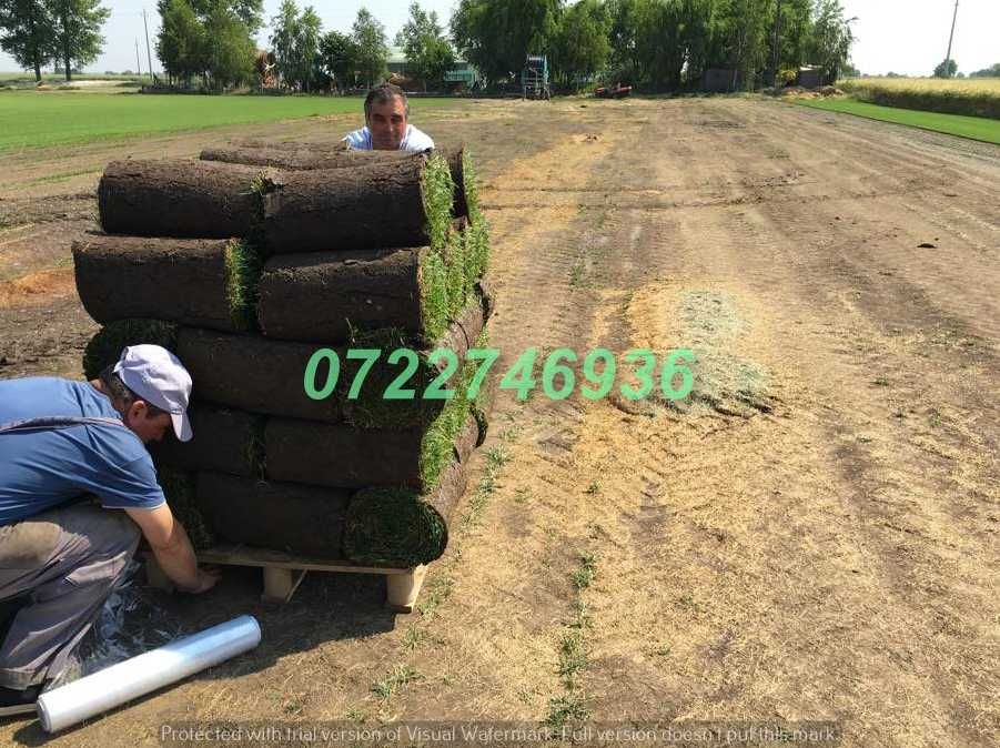 Gazon Rulou de Calitate Premium pentru Exterior