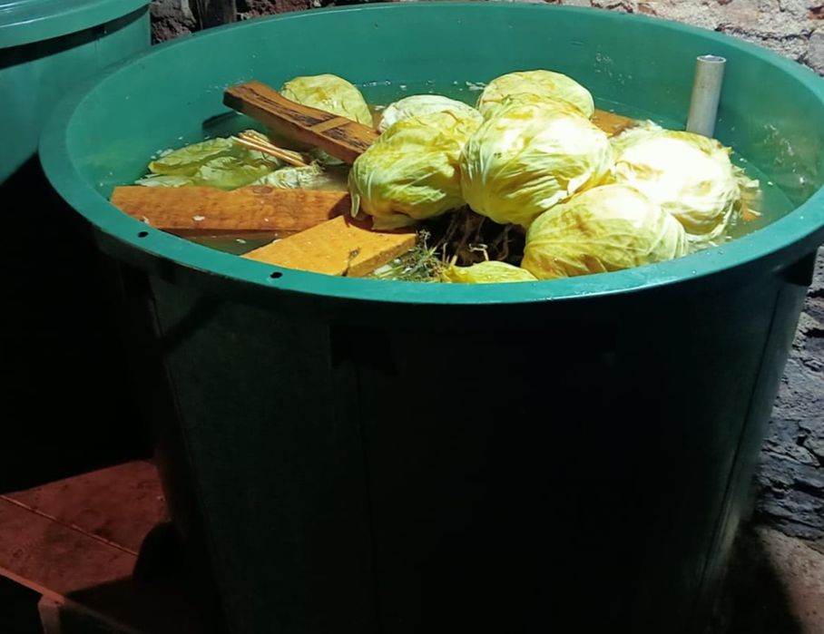 Vând varză murată