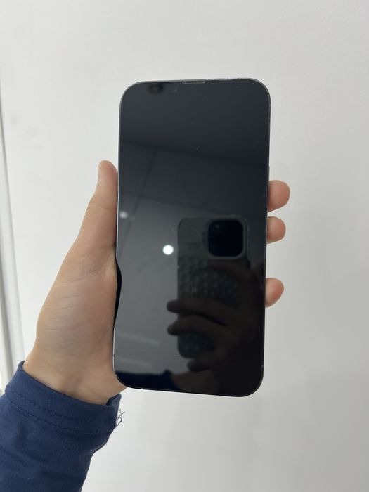 iPhone 13 Pro Max 256/81%